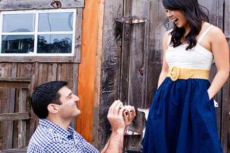 Perfect-Proposal